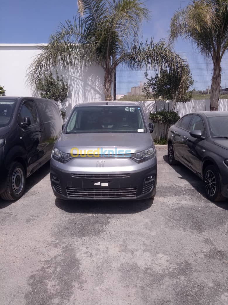 Fiat Doblo 2023 Professional italy