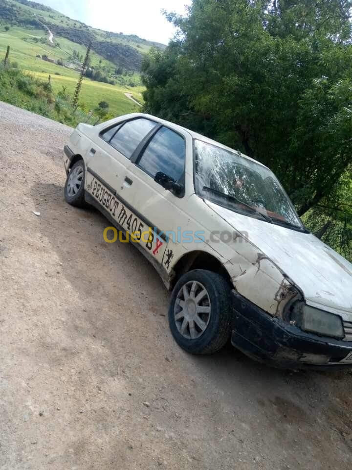 Peugeot 405 1989 405