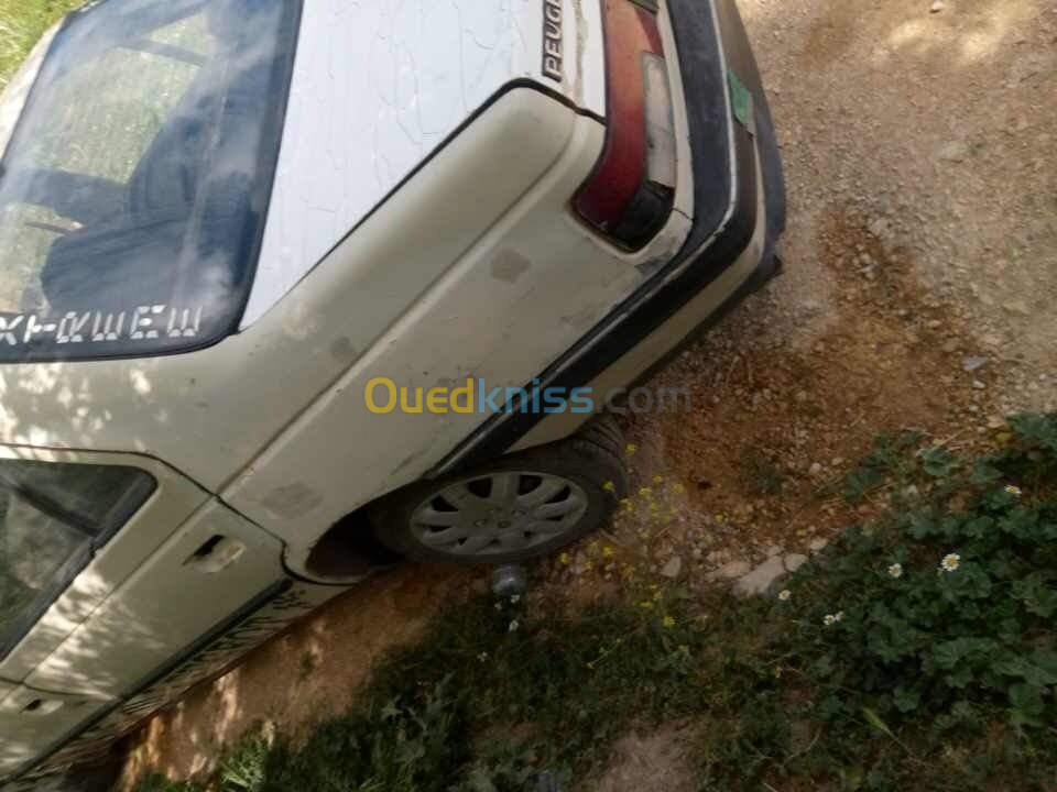 Peugeot 405 1989 405