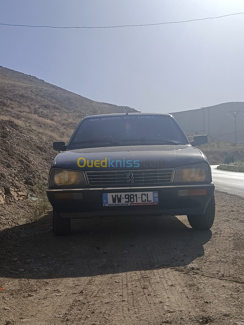 Peugeot 505 1991 505