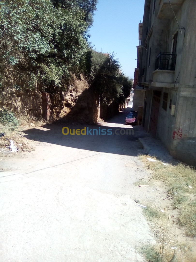 Vente Terrain Alger Khraissia