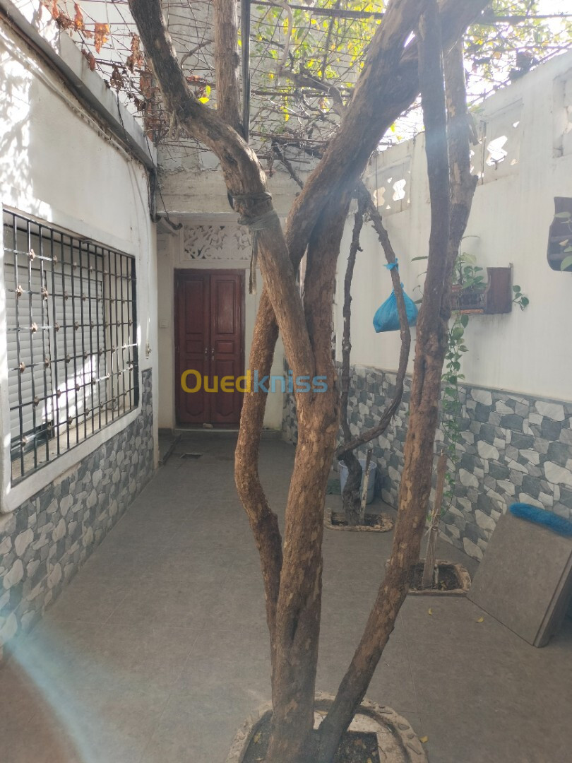 Vente Villa Annaba El bouni