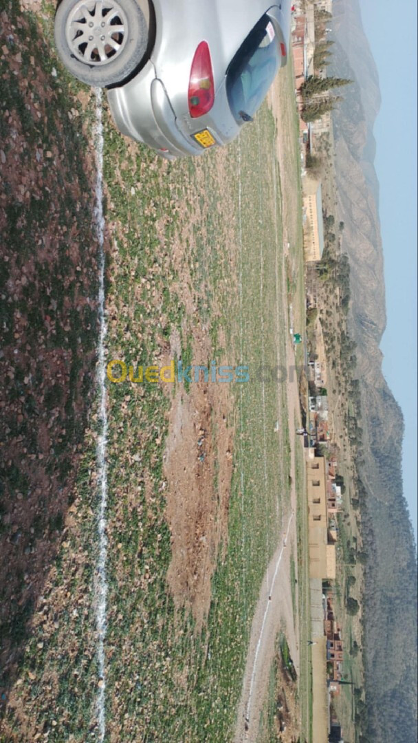 Vente Terrain Batna Fesdis