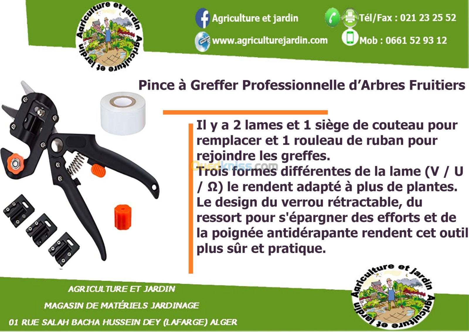 Pince à Greffer Professionnelle d'Arbres Fruitiers - Alger Algérie