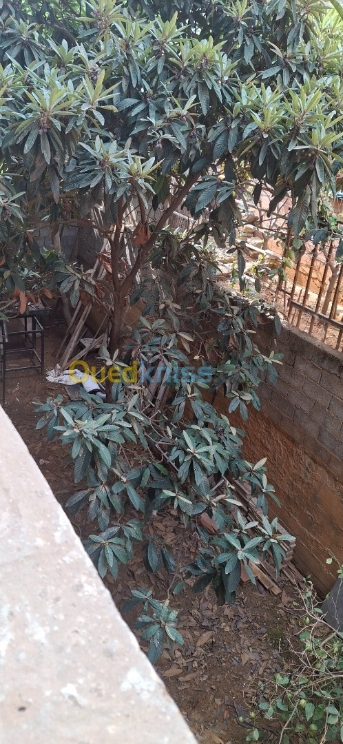 Location Niveau De Villa F3 Alger Baba hassen