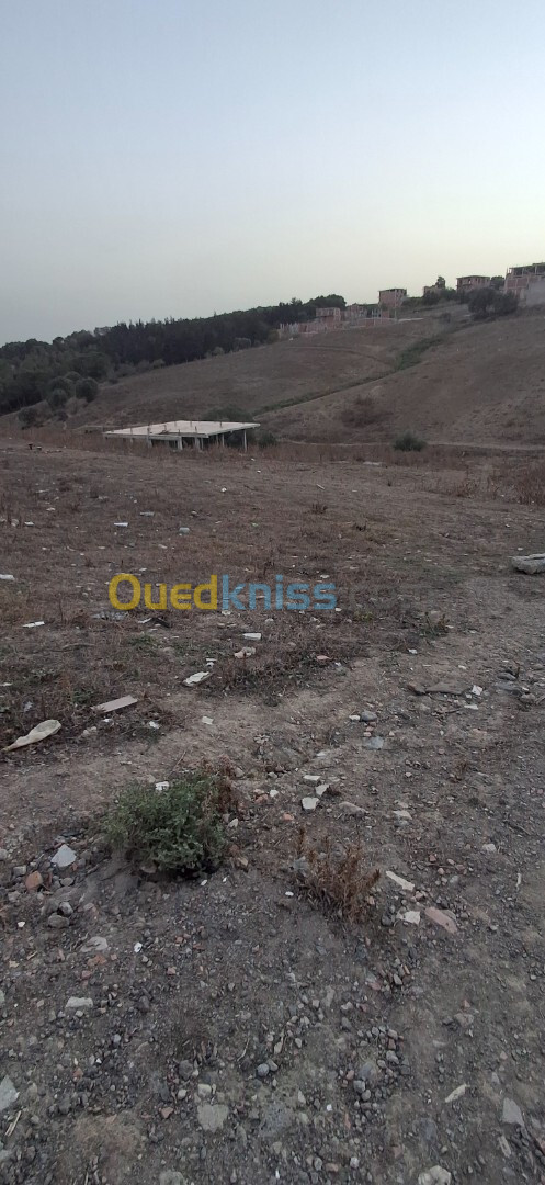 Vente Terrain Alger Douera