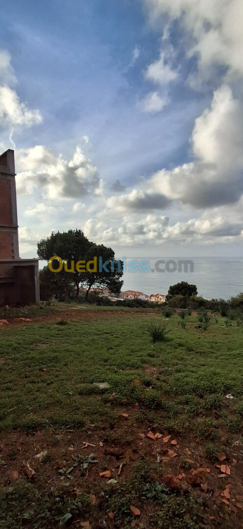 Vente Terrain Tipaza Ain tagourait