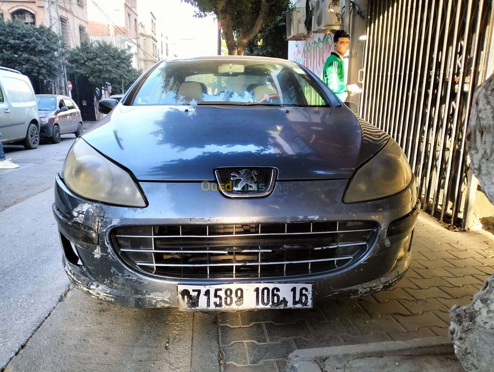 Peugeot 407 2006 407