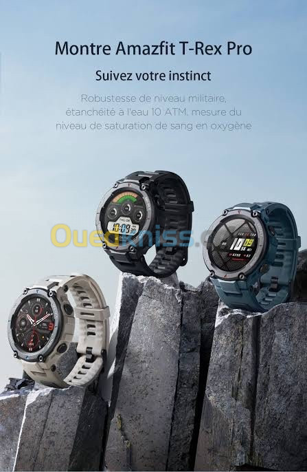 Montre Amazfit T Rex pro Alger Alg rie