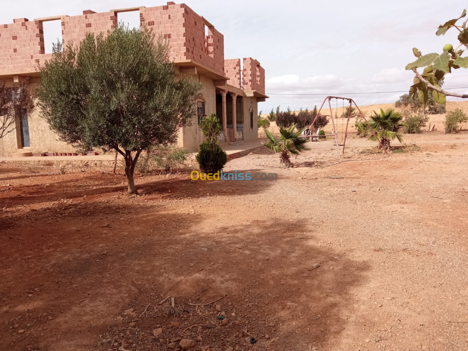 Vente Terrain Agricole Tiaret Sougueur