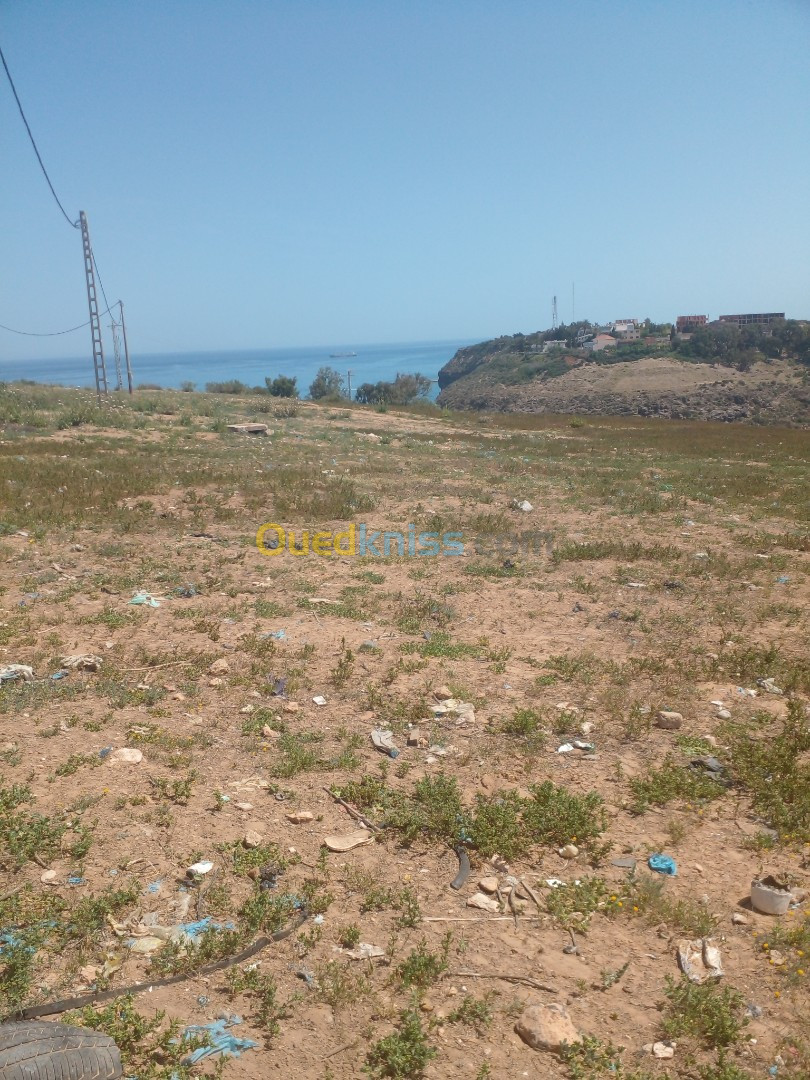 Vente Terrain Tlemcen Ghazaouet