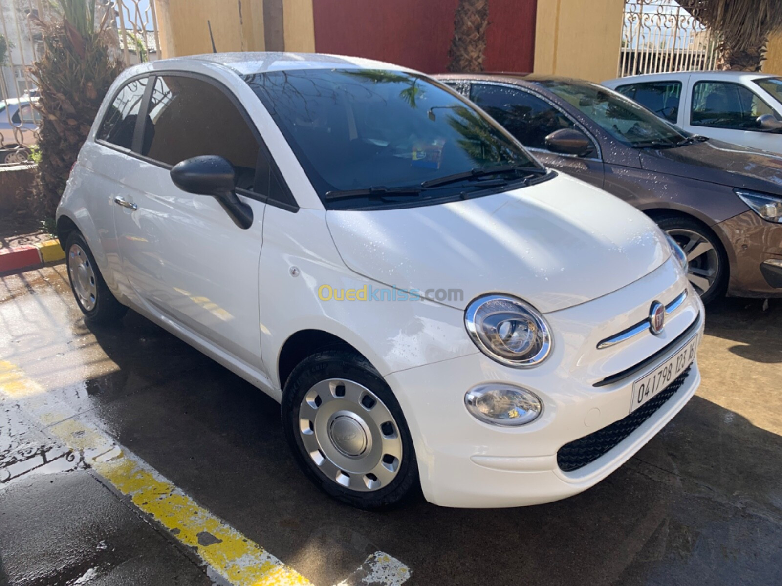 Fiat Hybride 2023 Base