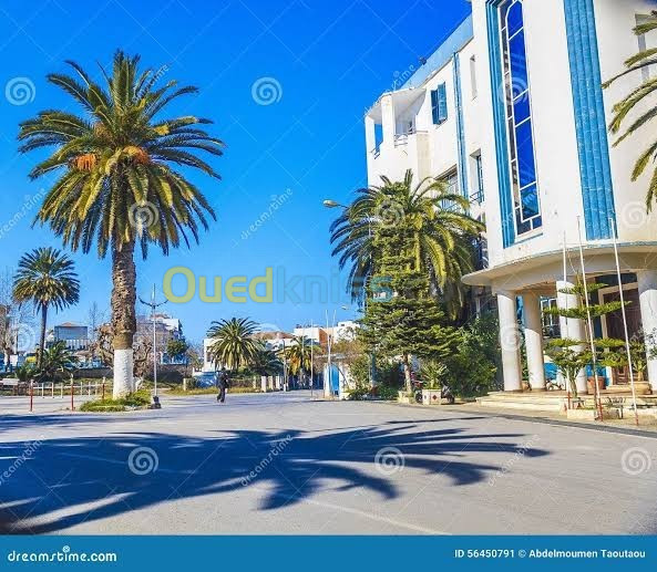 Cherche achat Appartement F3 Jijel Jijel