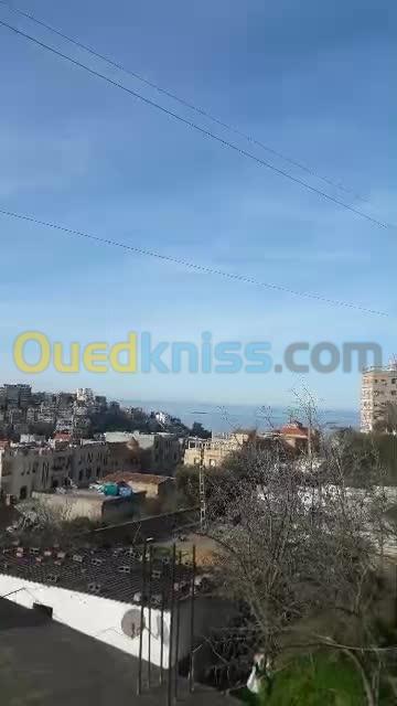 Vente Terrain Skikda Skikda