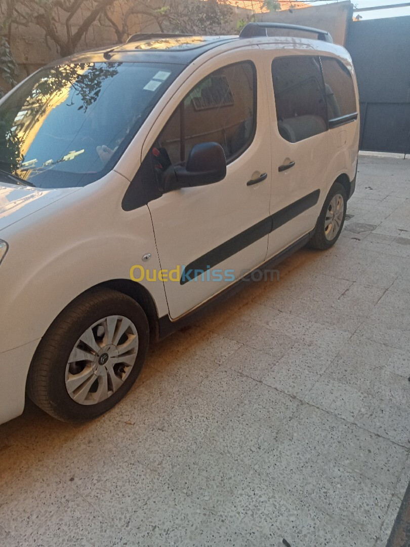 Citroen Berlingo Multispace 2019 Berlingo Multispace