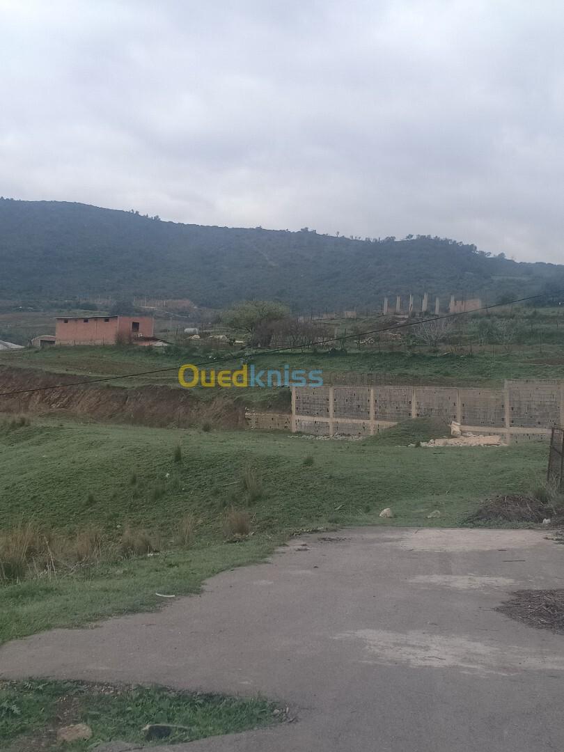 Vente Terrain Béjaïa Oued ghir