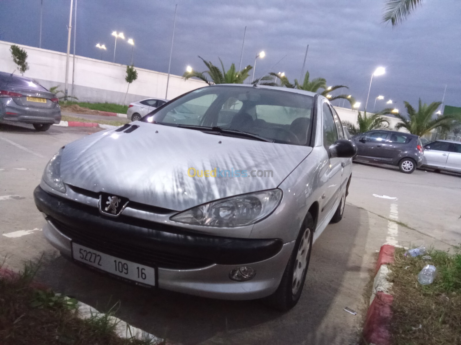 Peugeot 206 Sedan 2009 206 Sedan