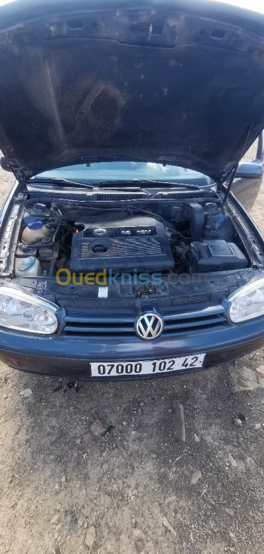 Volkswagen Golf 4 2002 Golf 4