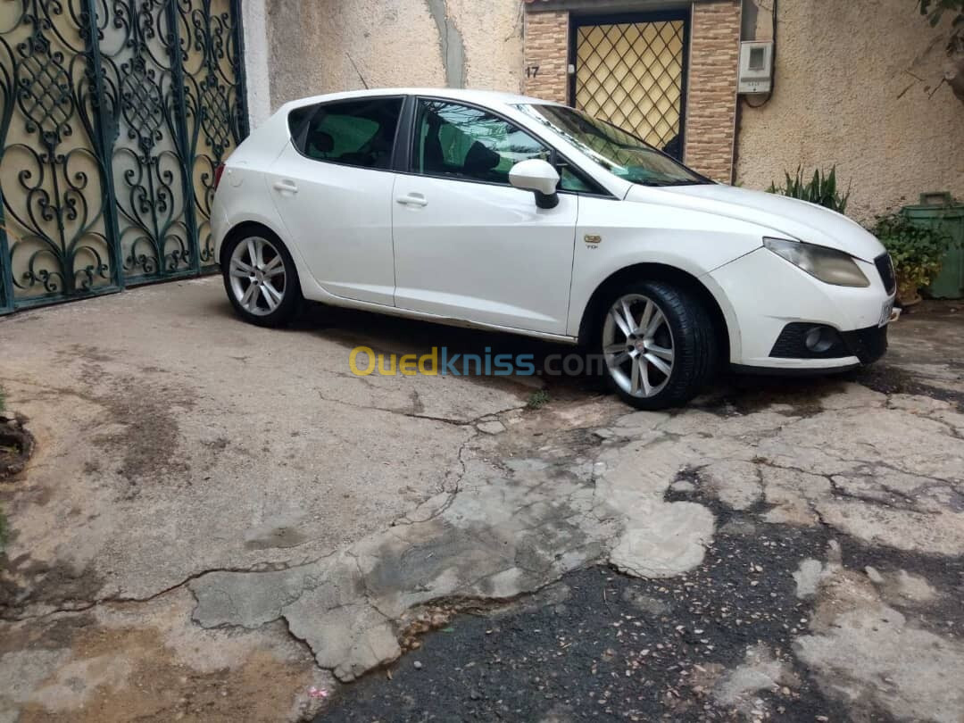 Seat Ibiza 2012 Loca