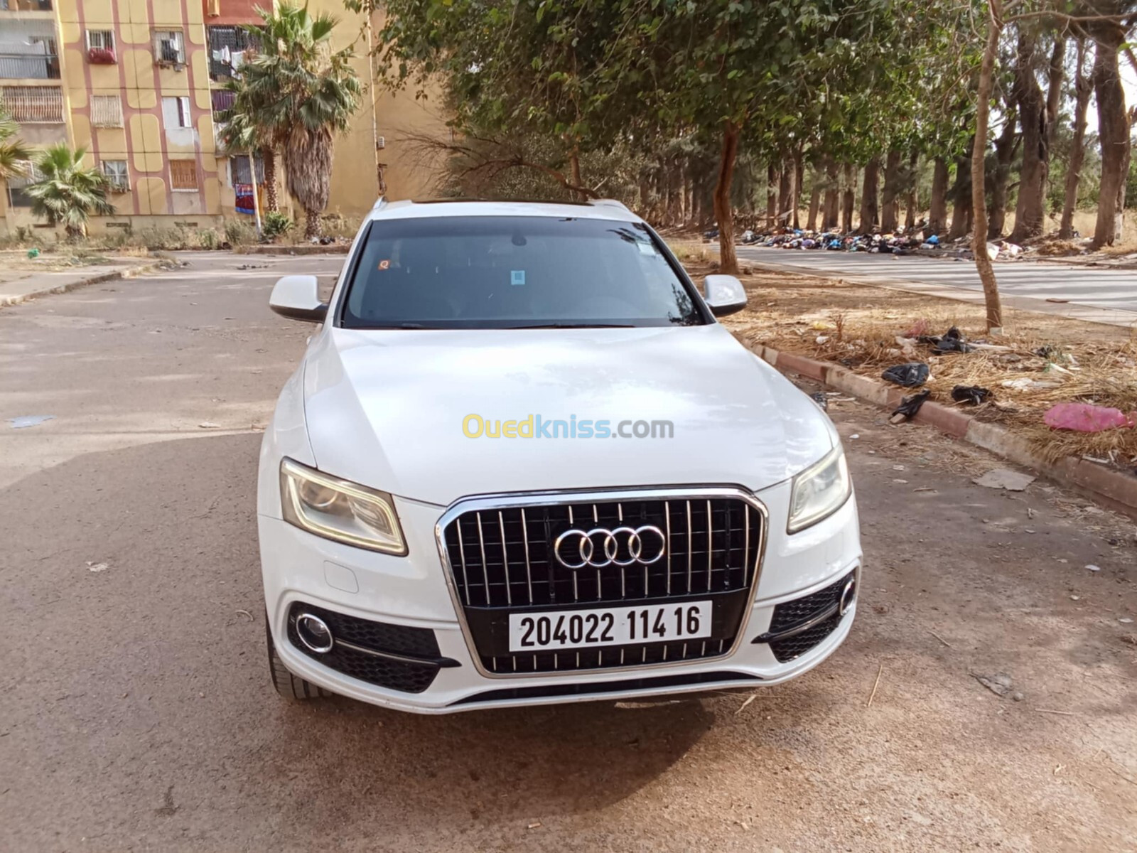 Audi Q5 2014 S Line