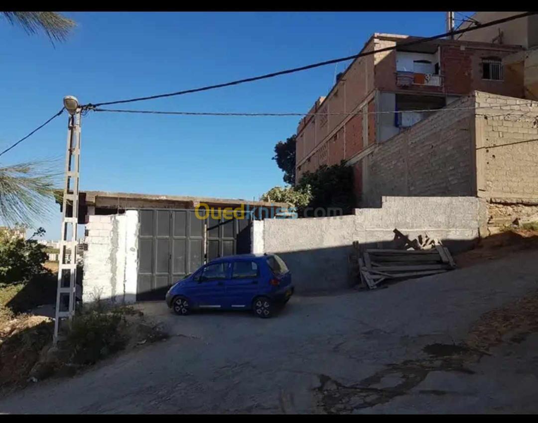 Vente Terrain Alger Saoula