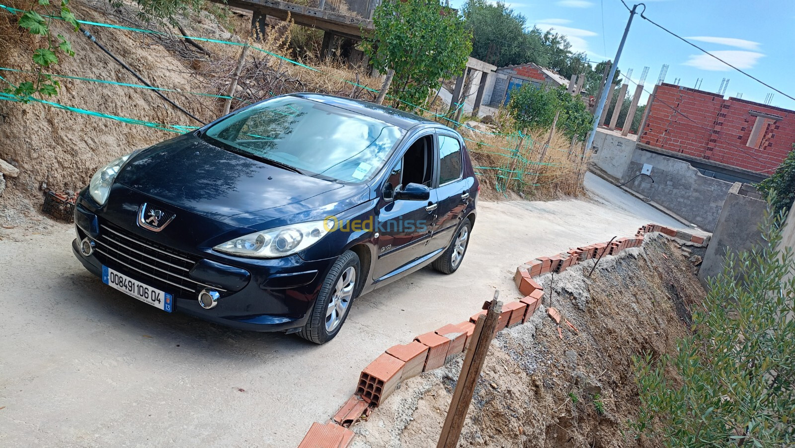 Peugeot 307 2006 Oxygo