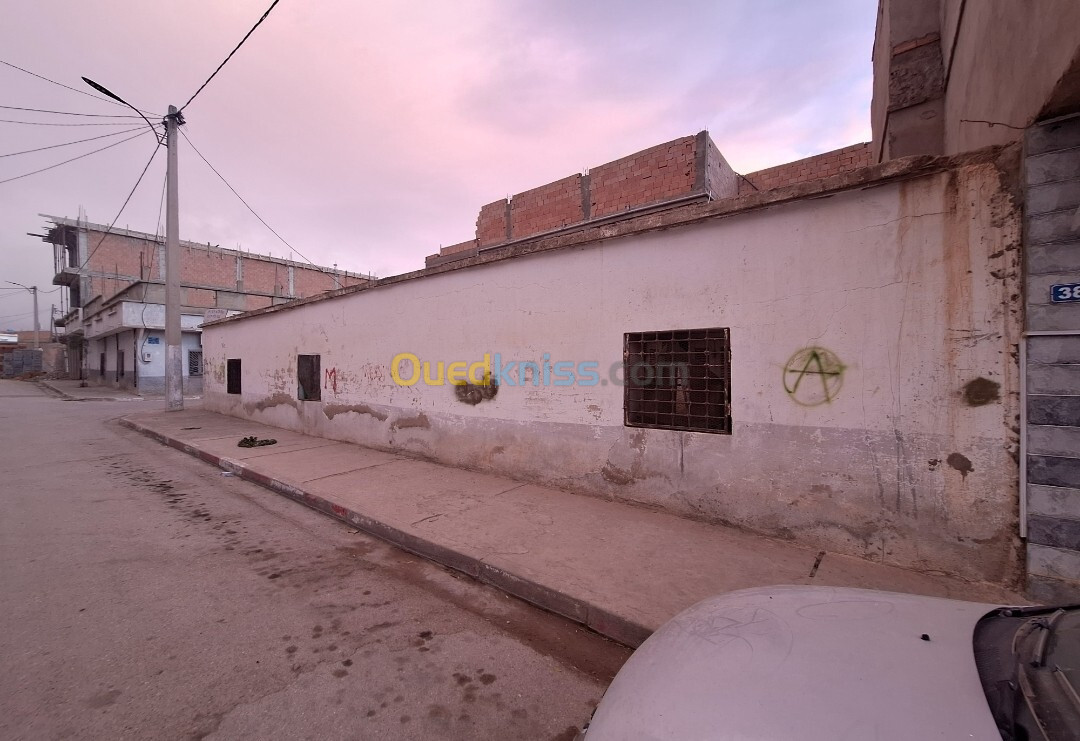 Vente Terrain Oran Bir el djir