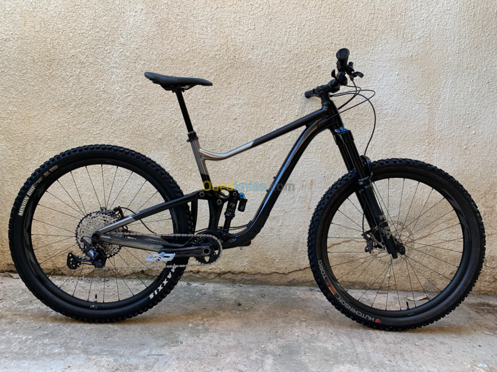 Vtt G ANT TRANCE X 29 Tipaza Algeria