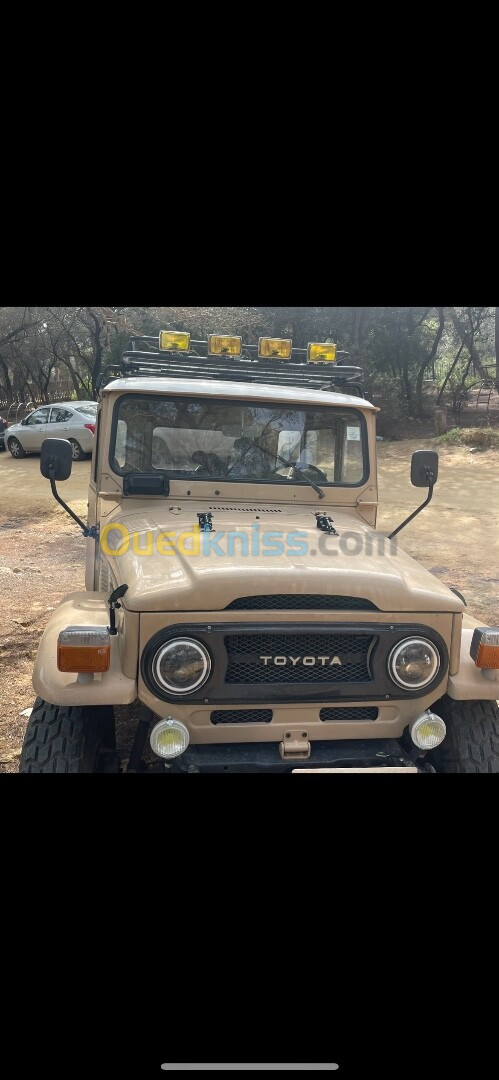 Toyota Land Cruiser 1975 Court