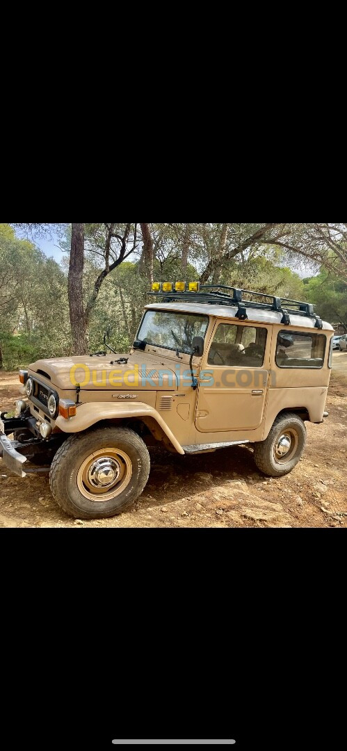 Toyota Land Cruiser 1975 Court