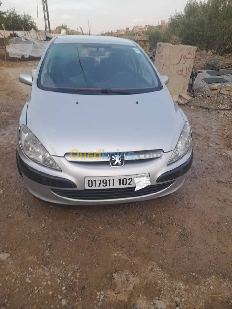 Peugeot 307 2002 XT