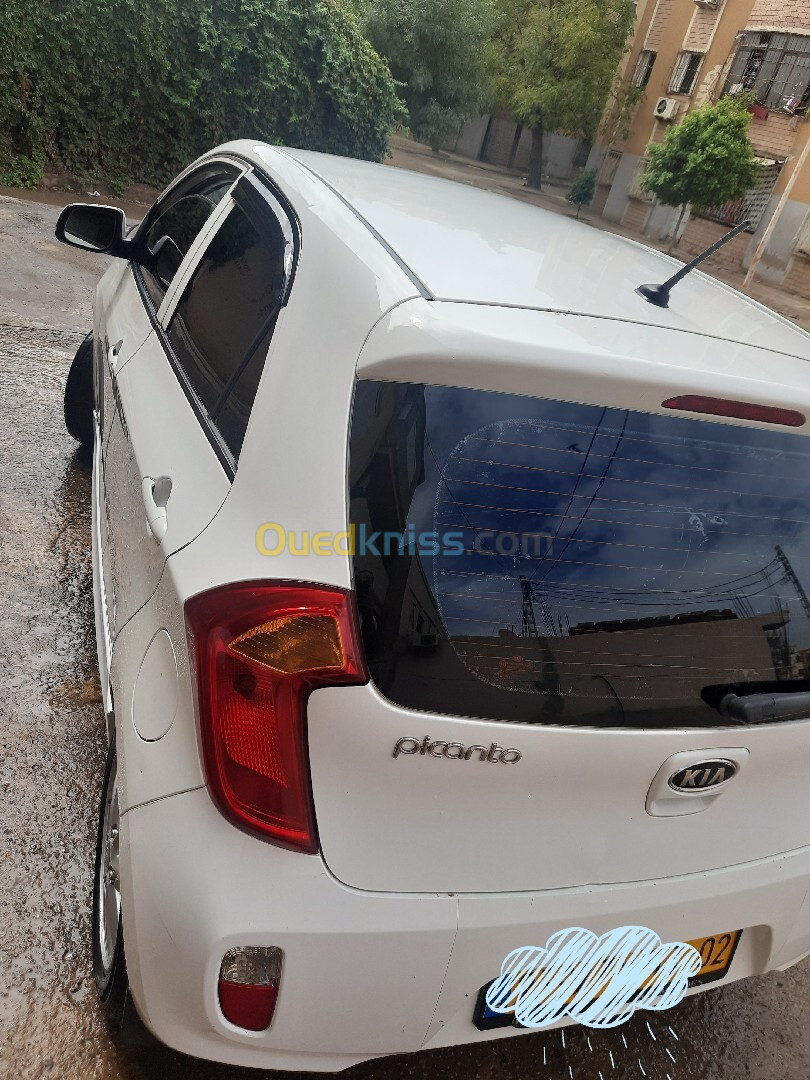 Kia Picanto 2013 بوب