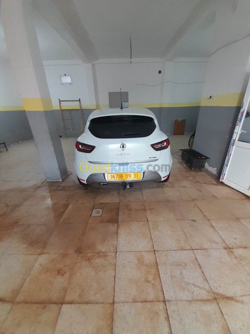 Renault Clio 4 2019 Clio 4 jitilayn