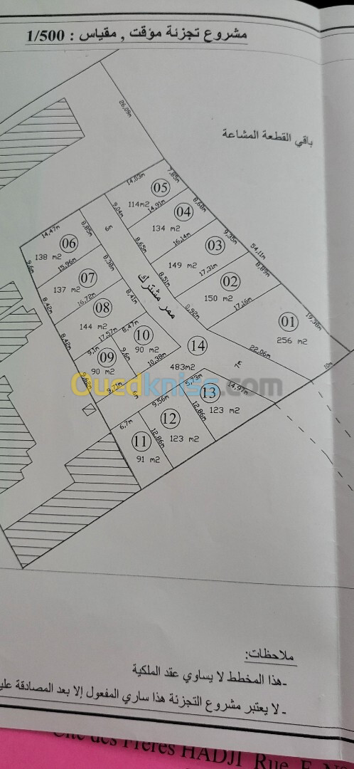 Vente Terrain Tipaza Kolea