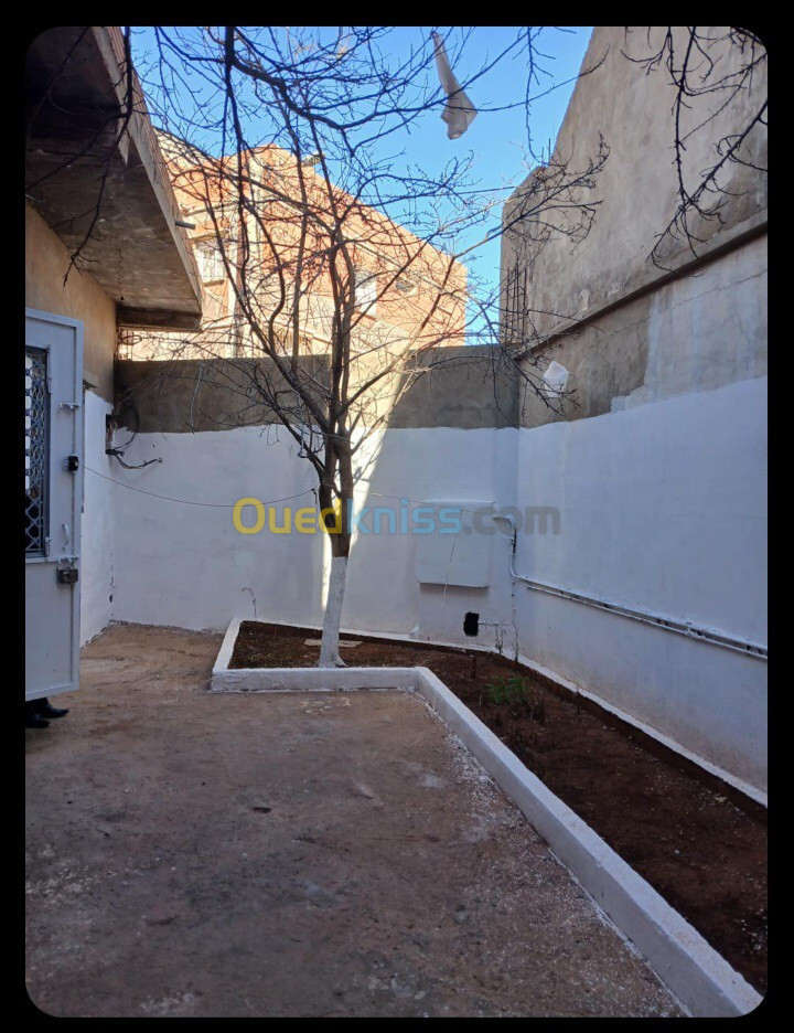 Vente Terrain Oran Es senia