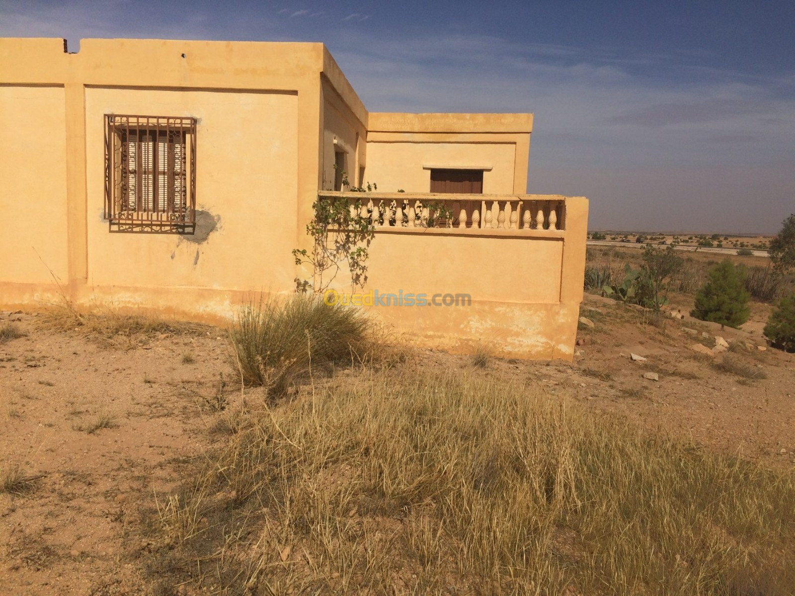 Vente Appartement Djelfa Bouira lahdab