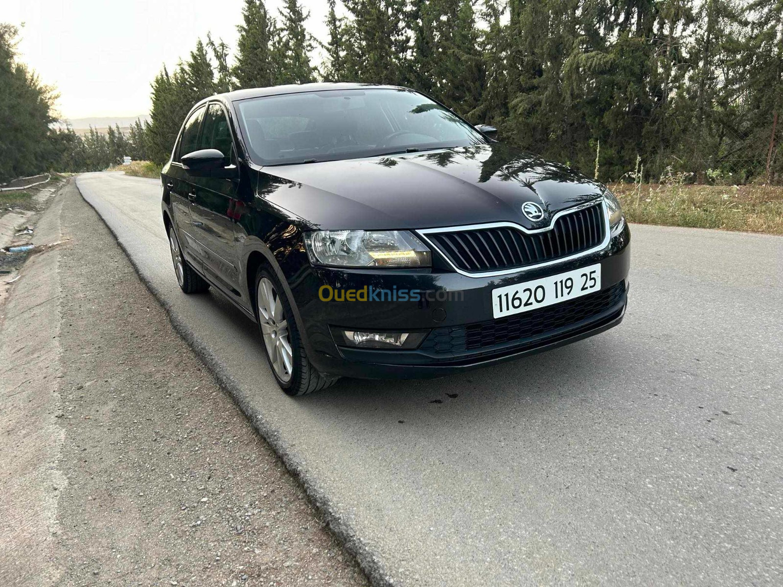 Skoda Rapid 2019 Edition