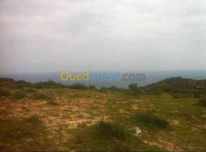 Vente Terrain Annaba Chetaibi