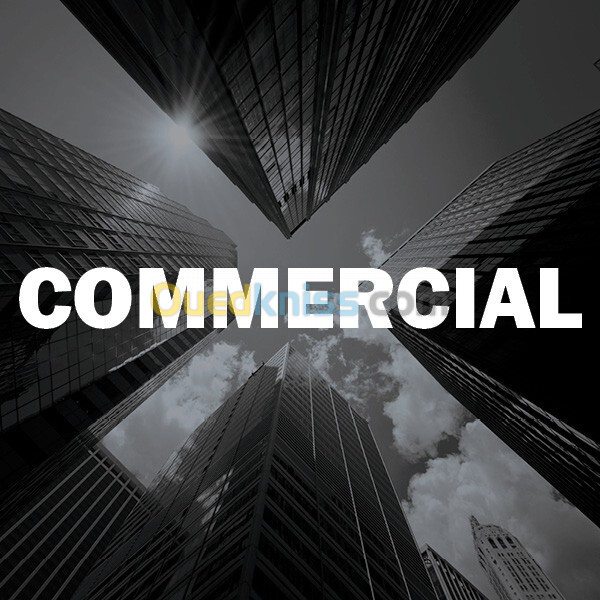 Agent commercial / vendeur