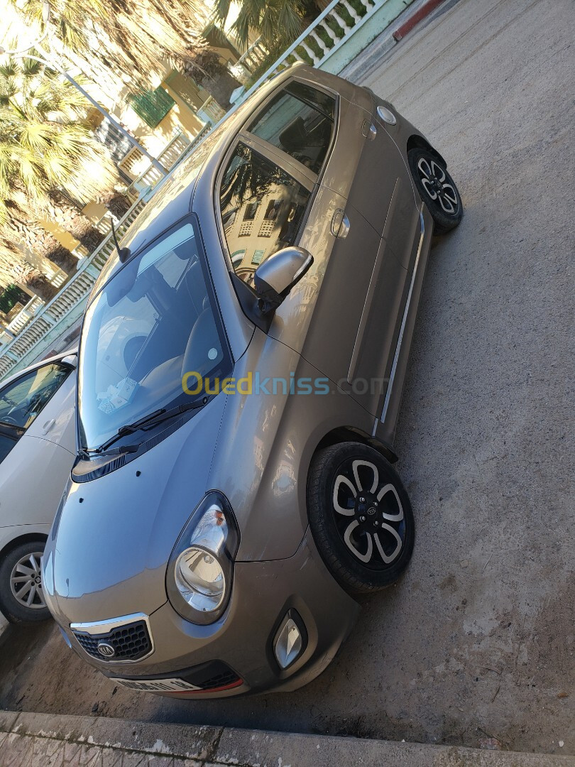 Kia Picanto 2011 Fani