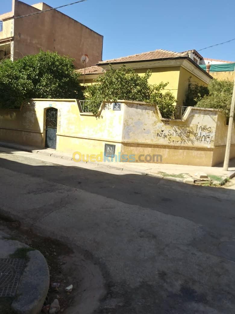 Vente Villa Sidi Bel Abbès Sidi bel abbes