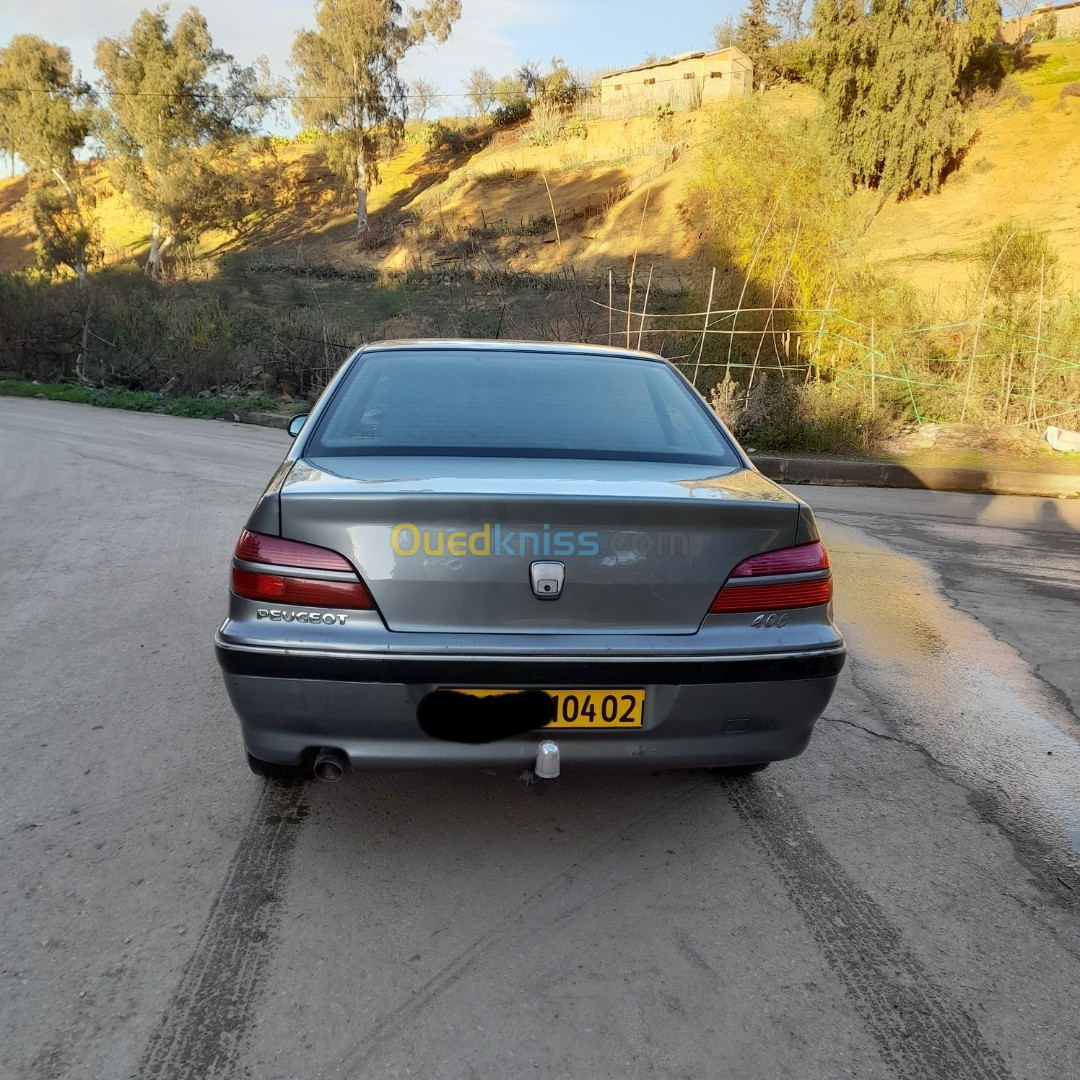 Peugeot 406 2004 406