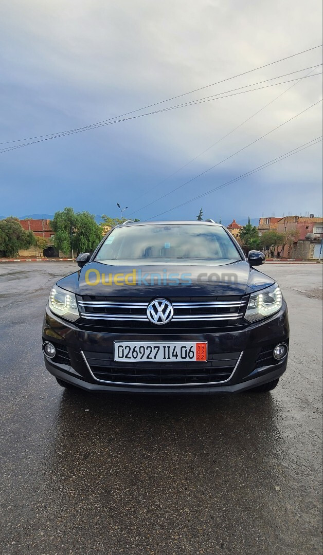 Volkswagen Tiguan 2014 Cup