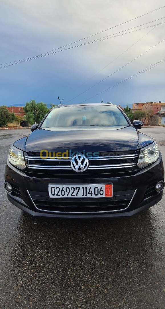 Volkswagen Tiguan 2014 Cup