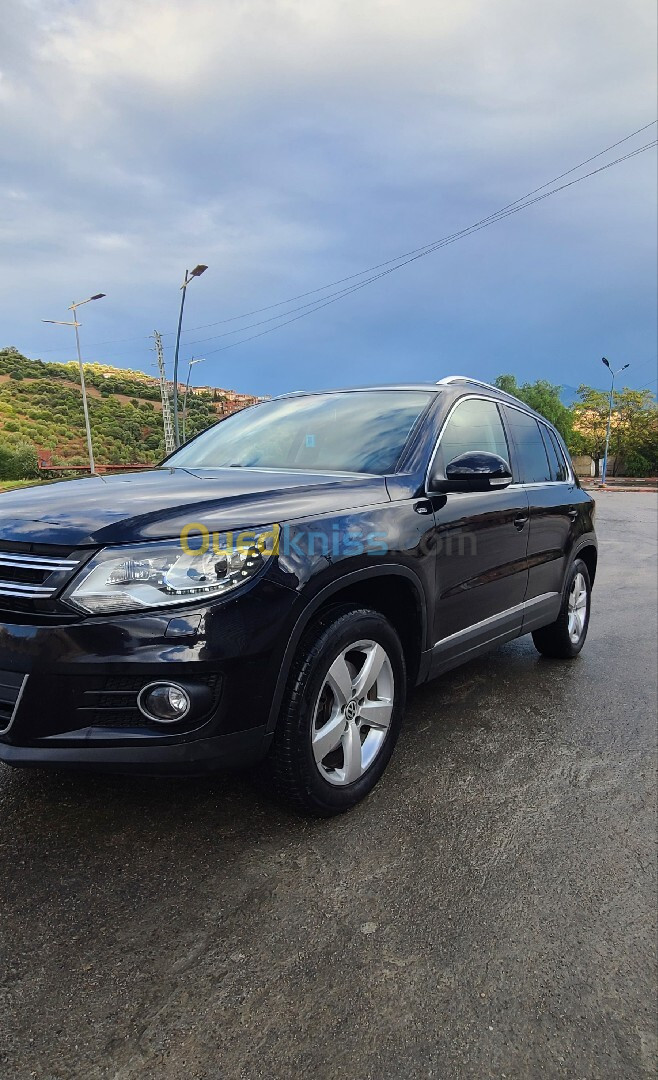 Volkswagen Tiguan 2014 Cup