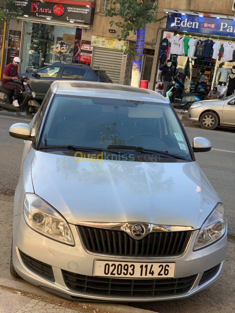 Skoda Fabia 2014 Visage