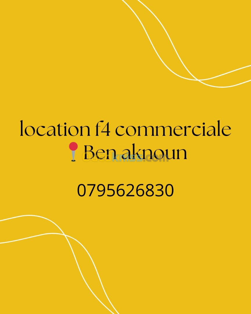 Location Appartement F4 Alger Ben aknoun