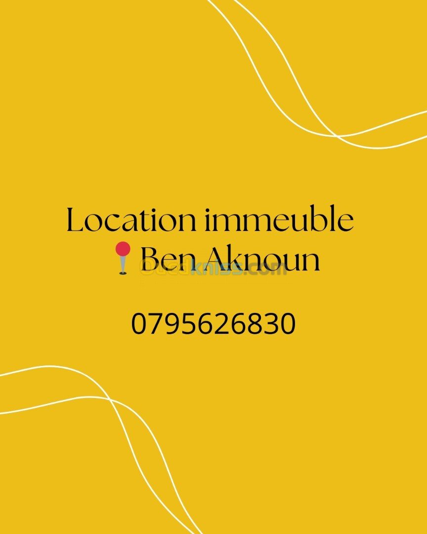 Location Immeuble Alger Ben aknoun