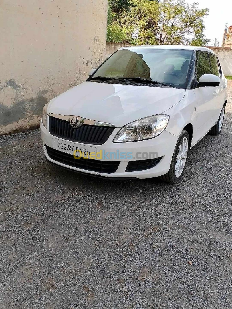 Skoda Fabia 2014 Visage