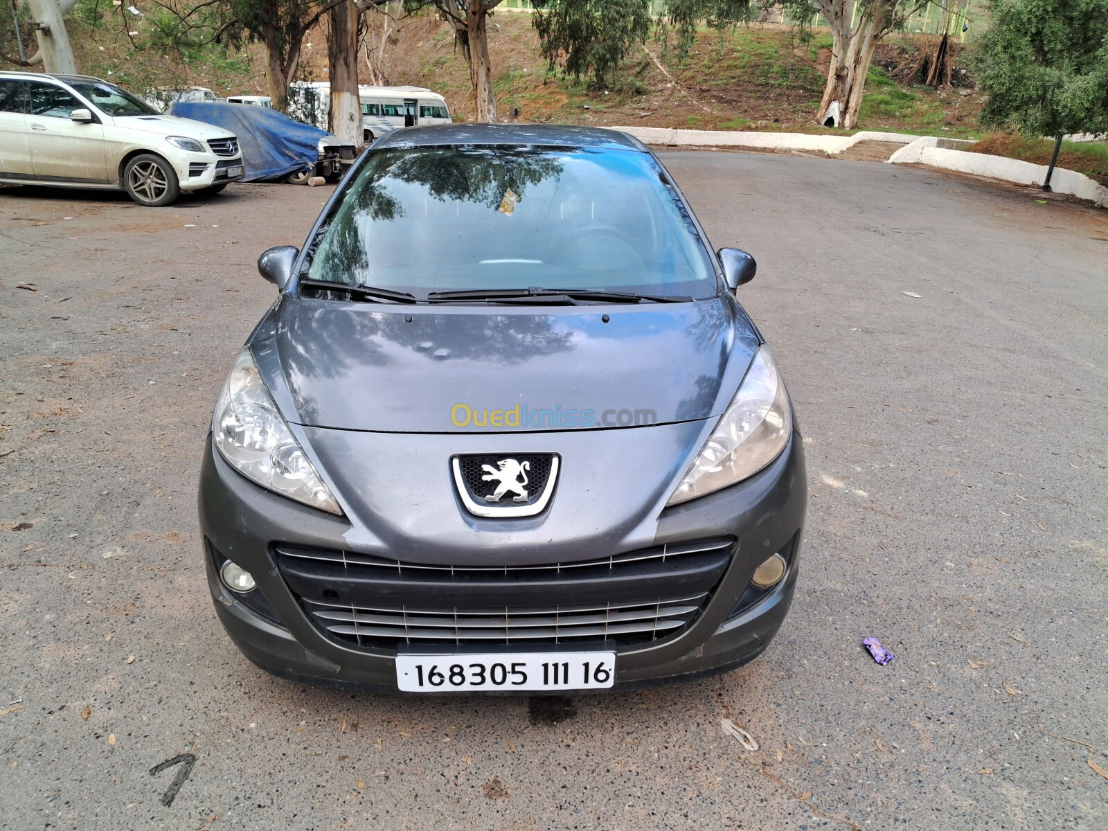 Peugeot 207 2011 207